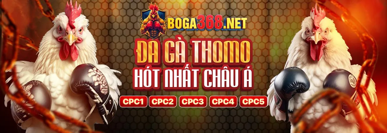 Hình ảnh giới thiệu về Casino Nam Hội An